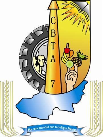 cbtf7.com|cbta 7 morelia.